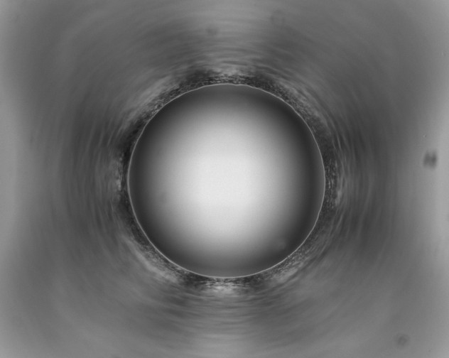 X0000094180710200710261131