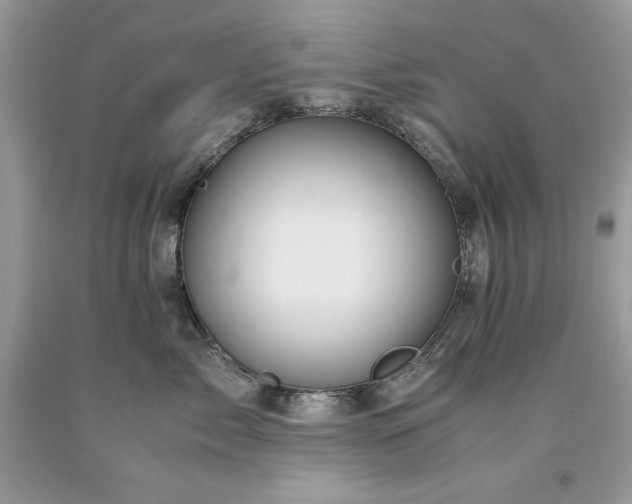 X0000094180717200710261131