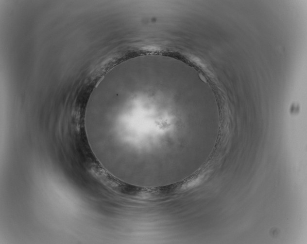 X0000094180720200710261131