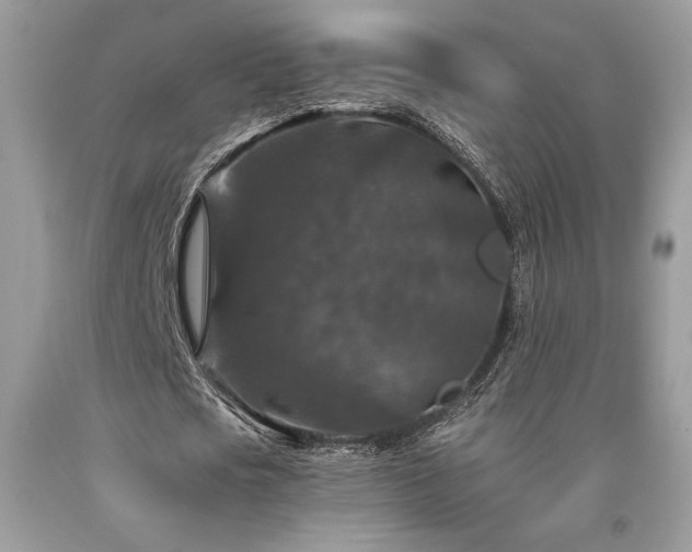 X0000094180721200710261131