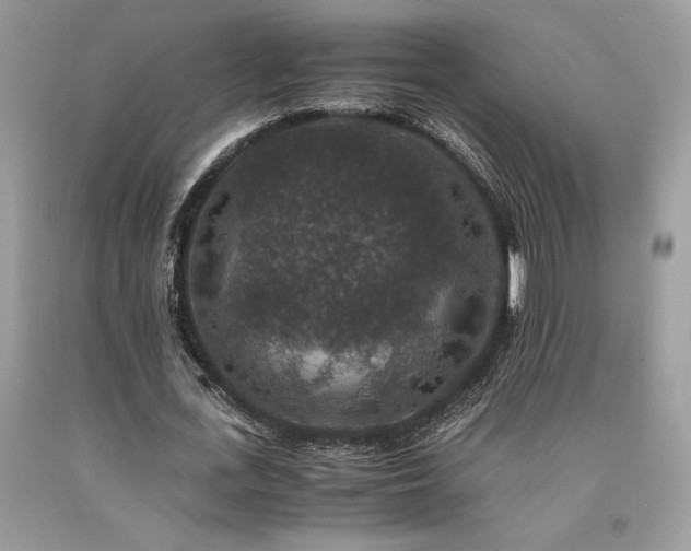 X0000094180723200710261131