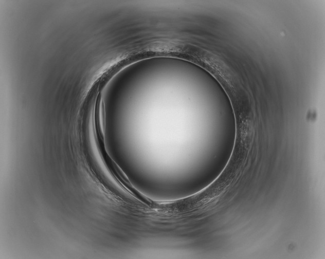 X0000094180727200710261131