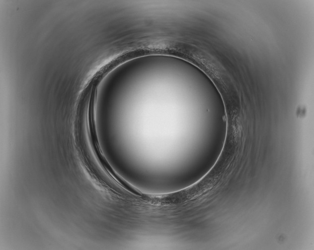 X0000094180728200710261131