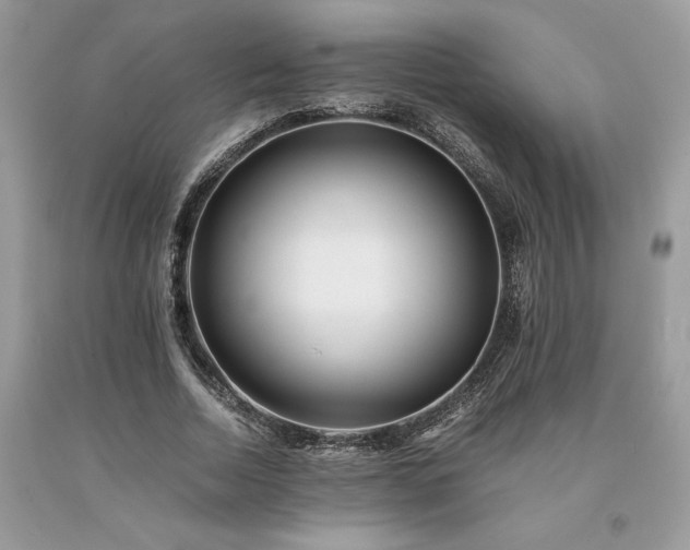 X0000094180730200710261131