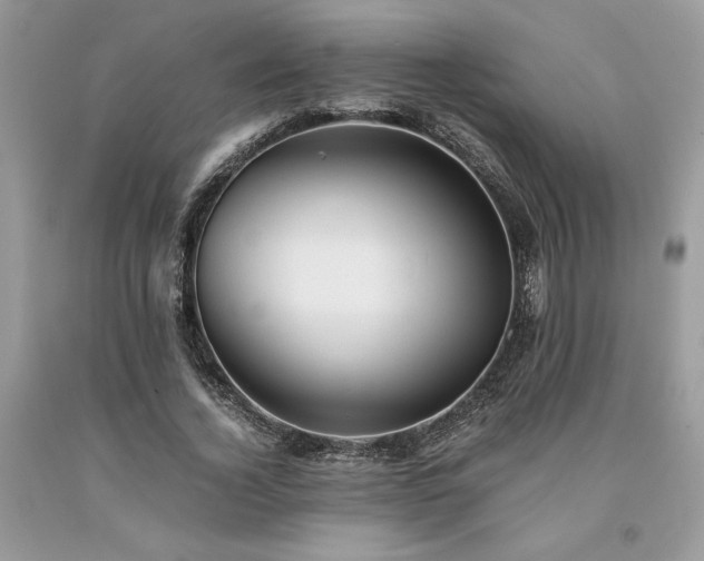 X0000094180732200710261131