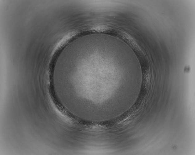 X0000094180734200710261131