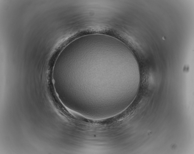 X0000094180736200710261131