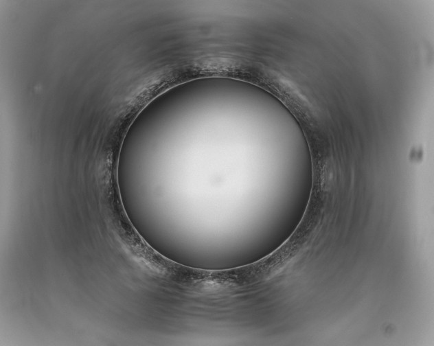 X0000094180737200710261131