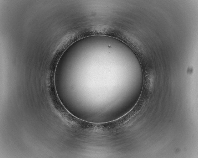 X0000094180738200710261131