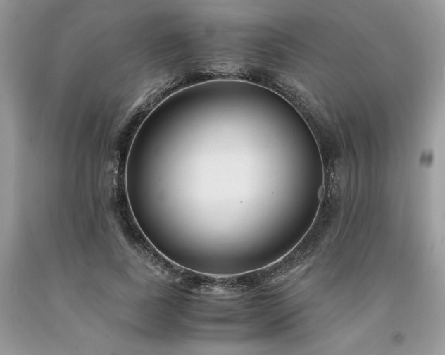 X0000094180739200710261131