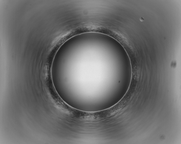 X0000094180740200710261131