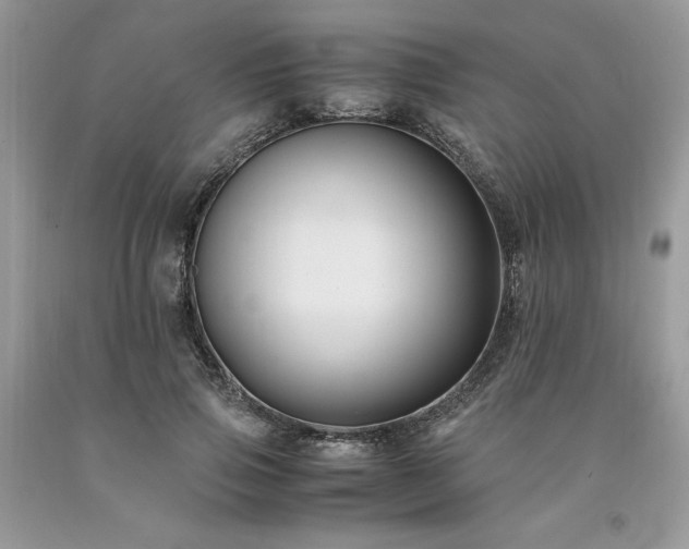 X0000094180741200710261131