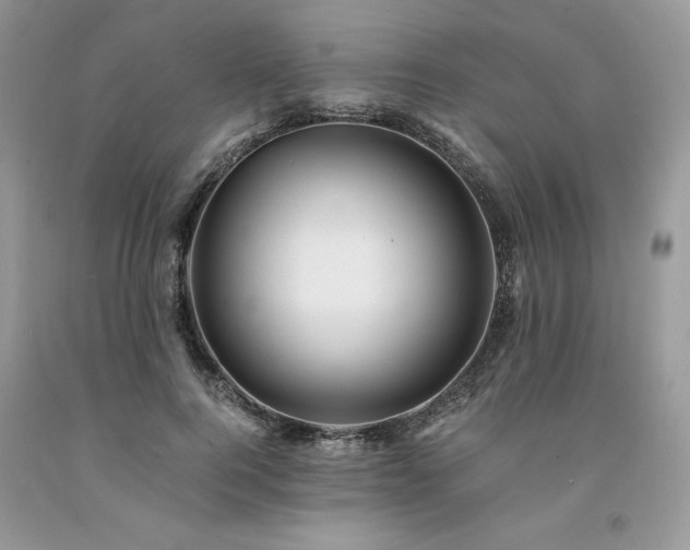 X0000094180744200710261131
