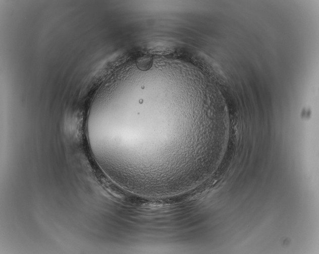 X0000094180745200710261131