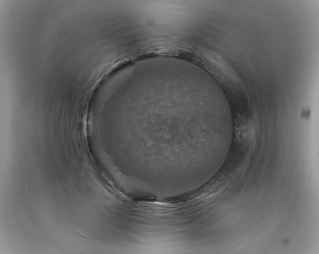 X0000094180748200710261131