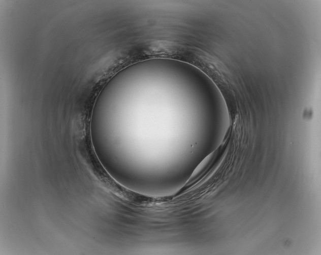 X0000094180751200710261131