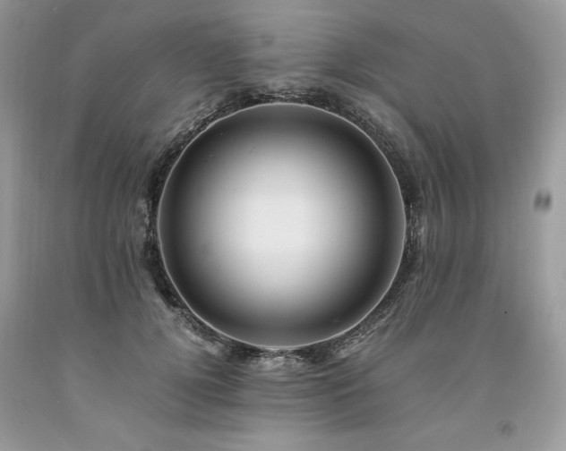 X0000094180752200710261131