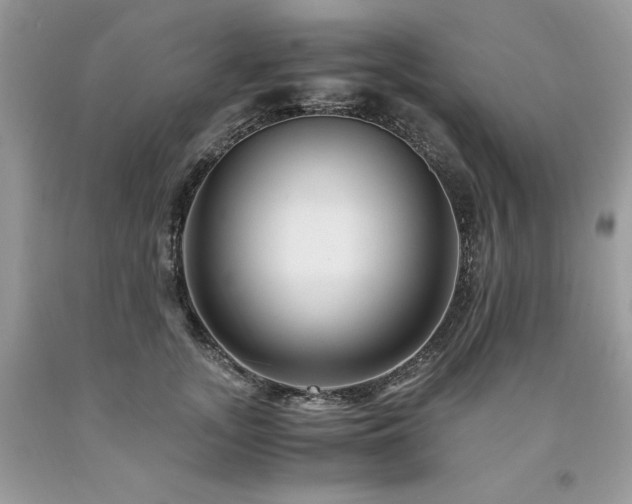 X0000094180755200710261131