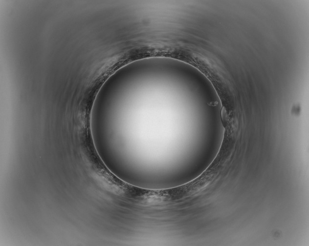 X0000094180756200710261131