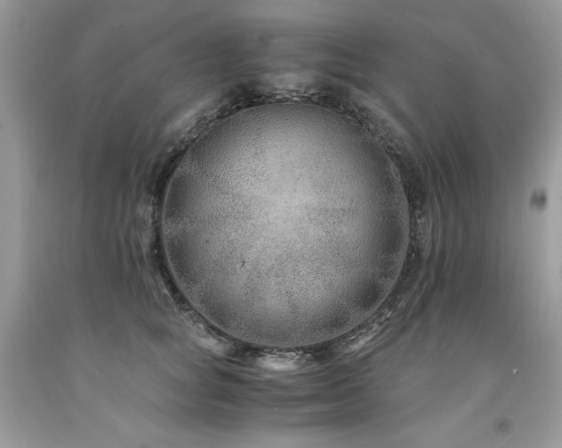 X0000094180757200710261131