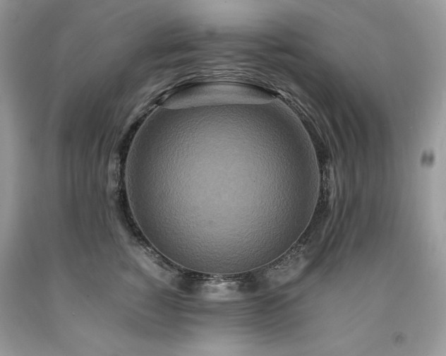 X0000094180760200710261131