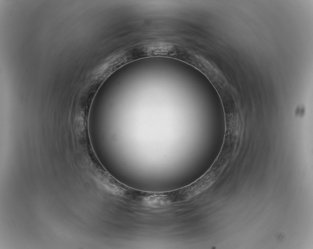 X0000094180761200710261131