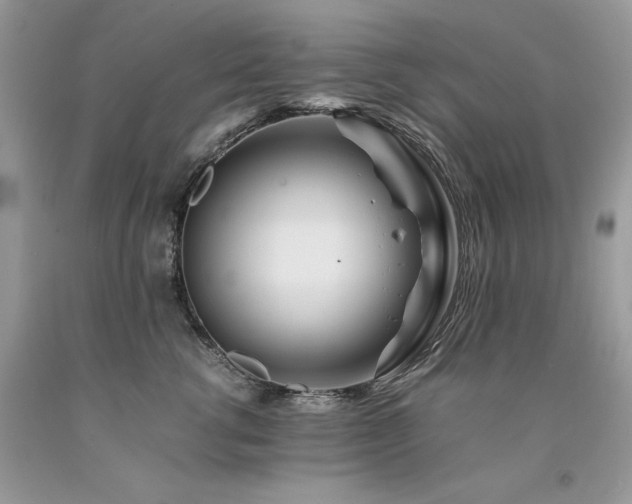 X0000094180762200710261131
