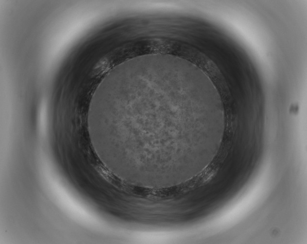 X0000094180765200710261131