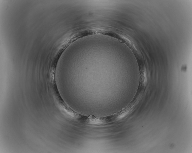 X0000094180766200710261131