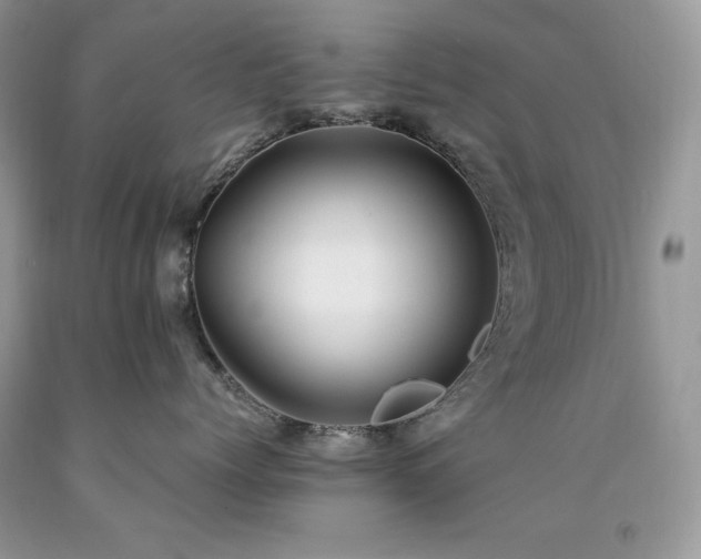 X0000094180768200710261131