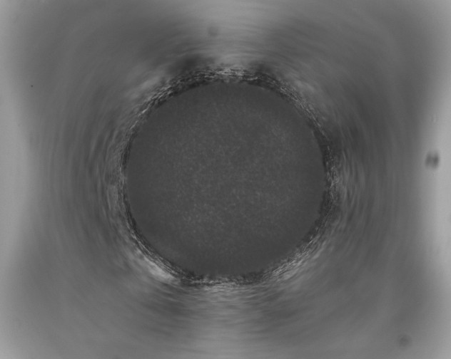 X0000094180769200710261131