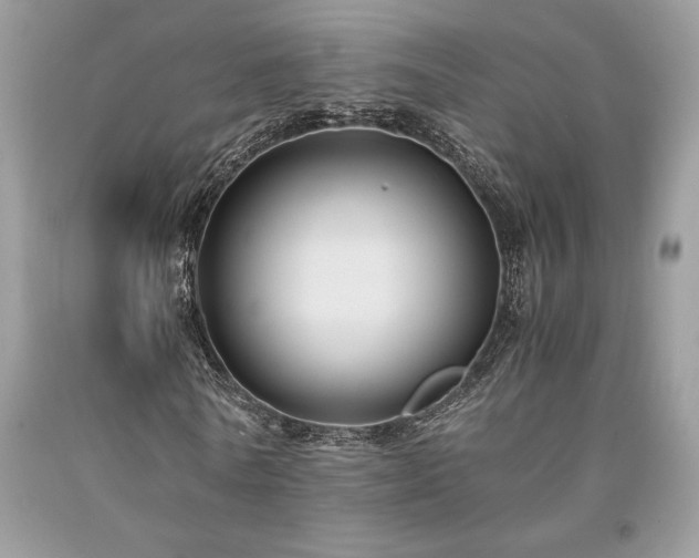 X0000094180770200710261131
