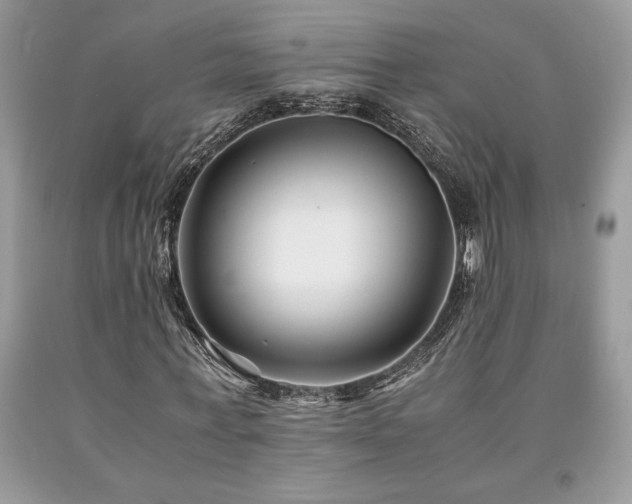 X0000094180771200710261131