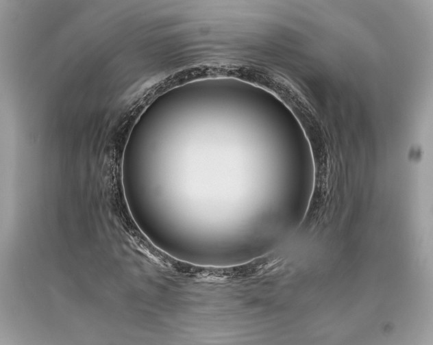 X0000094180773200710261131