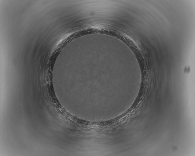 X0000094180776200710261131