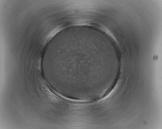 X0000094180777200710261131