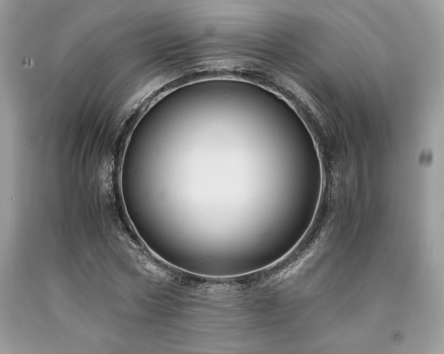 X0000094180778200710261131