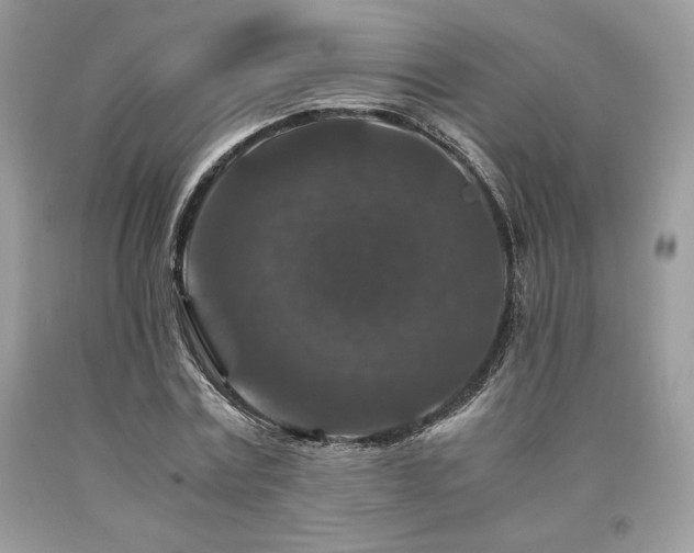 X0000094180779200710261130