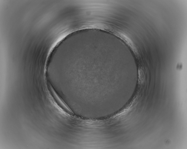 X0000094180780200710261130