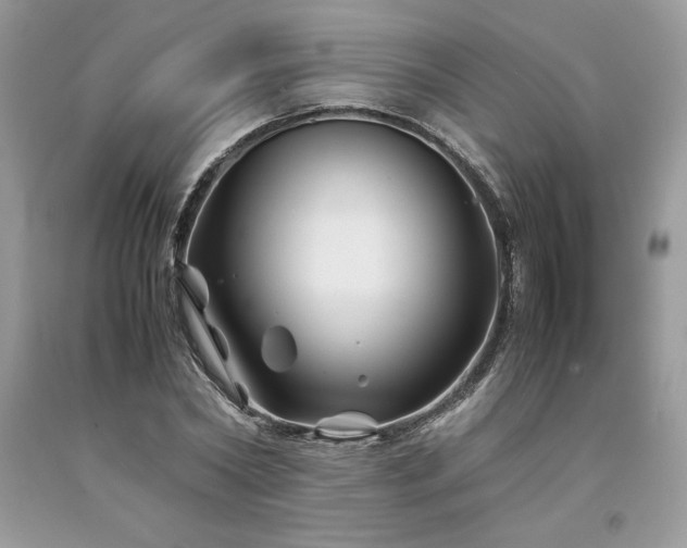 X0000094180782200710261130