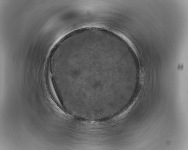 X0000094180783200710261130