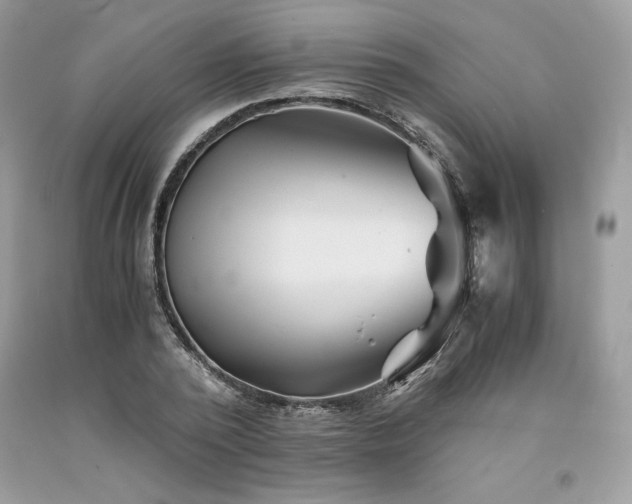 X0000094180784200710261130