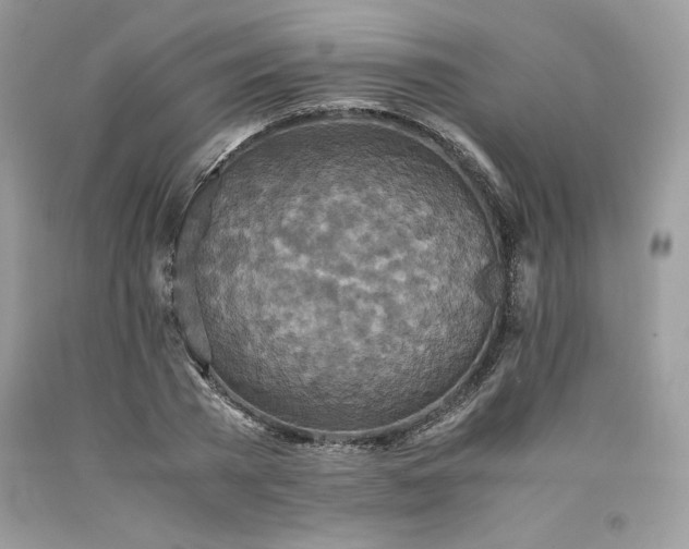 X0000094180785200710261130