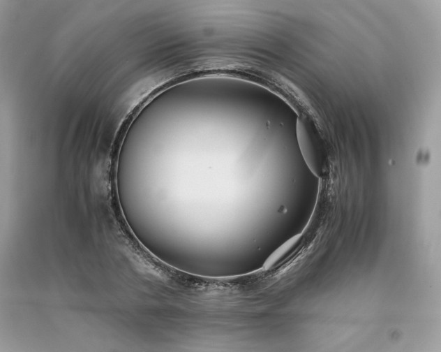 X0000094180786200710261130
