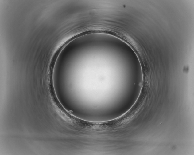 X0000094180787200710261130