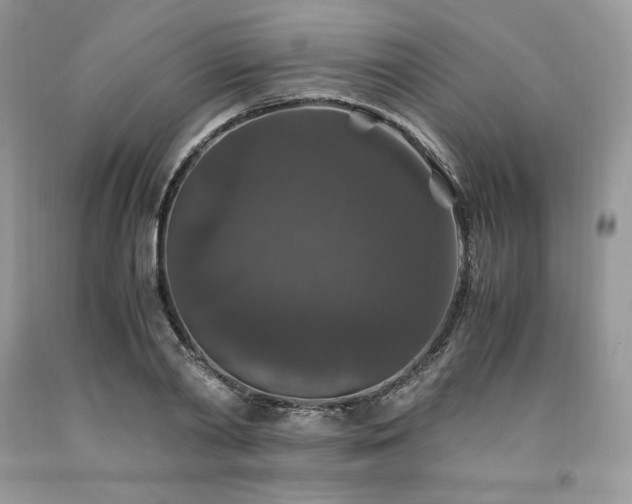 X0000094180790200710261130