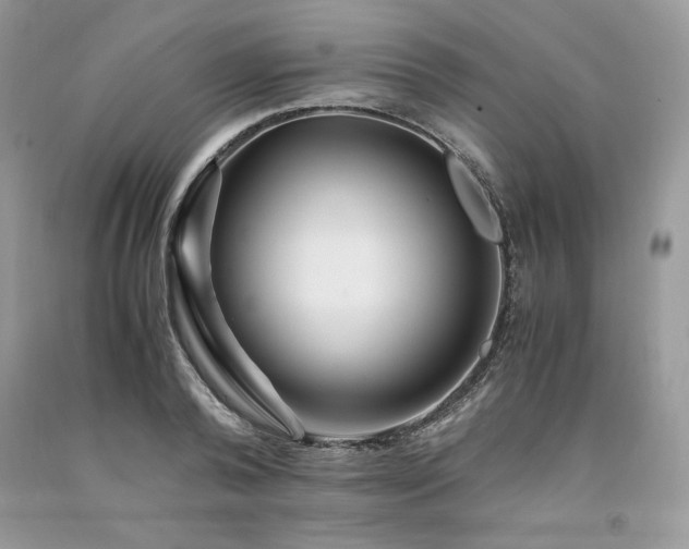 X0000094180792200710261130