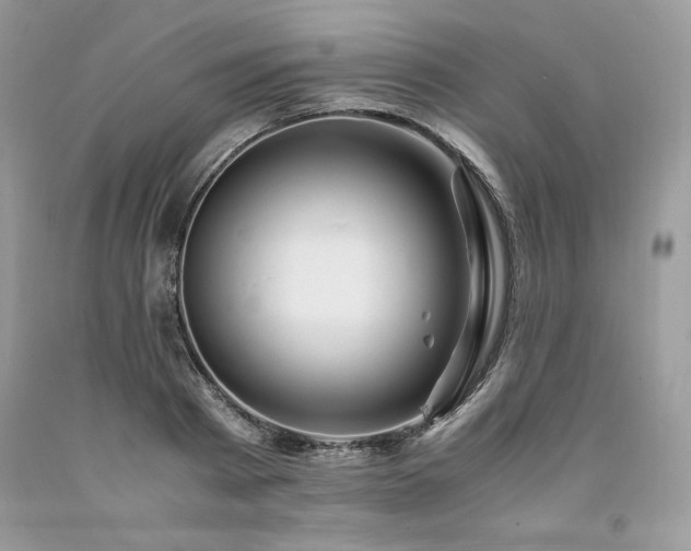 X0000094180793200710261130