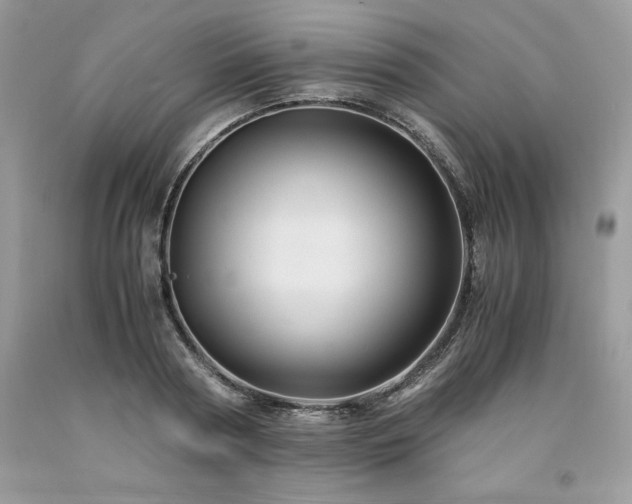 X0000094180794200710261130