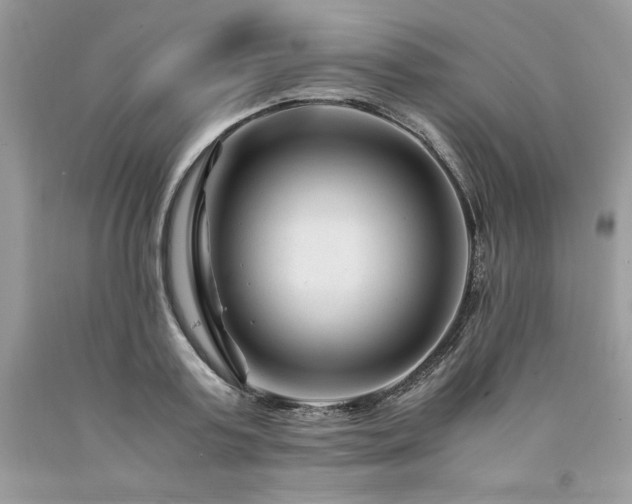 X0000094180795200710261130